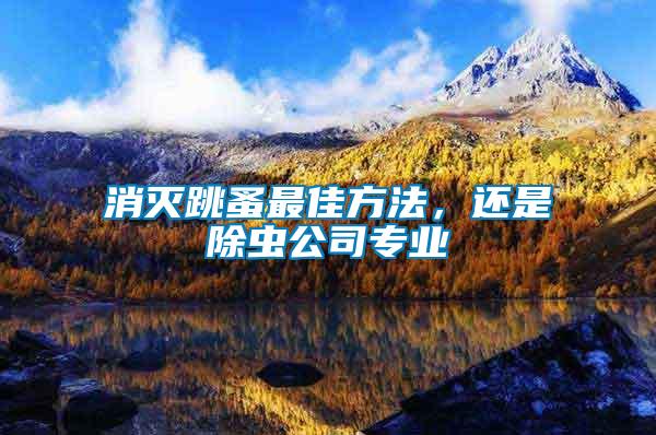 消滅跳蚤最佳方法，還是除蟲公司專業(yè)