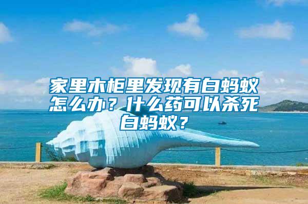家里木柜里發(fā)現(xiàn)有白螞蟻怎么辦？什么藥可以殺死白螞蟻？