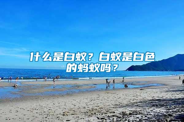 什么是白蟻？白蟻是白色的螞蟻嗎？