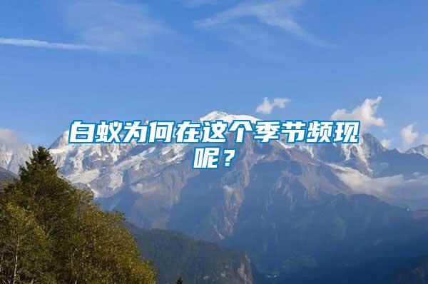 白蟻為何在這個(gè)季節(jié)頻現(xiàn)呢？