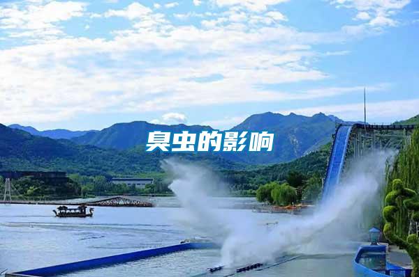 臭蟲(chóng)的影響