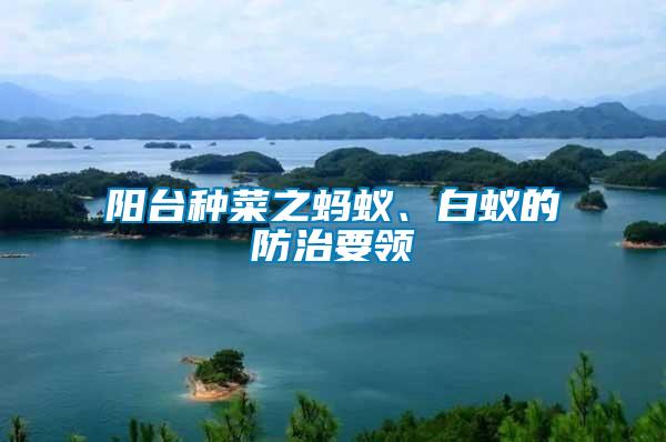 陽臺種菜之螞蟻、白蟻的防治要領(lǐng)