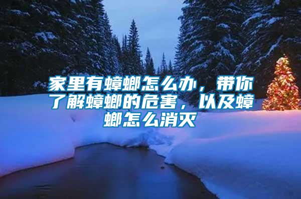 家里有蟑螂怎么辦，帶你了解蟑螂的危害，以及蟑螂怎么消滅