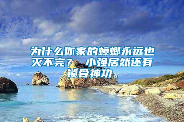 為什么你家的蟑螂永遠(yuǎn)也滅不完？ 小強(qiáng)居然還有鎖骨神功。