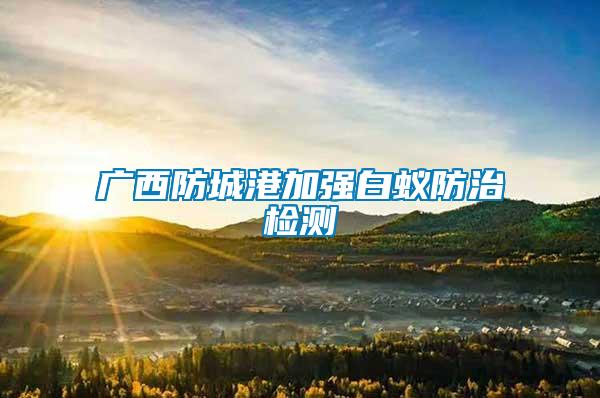 廣西防城港加強白蟻防治檢測