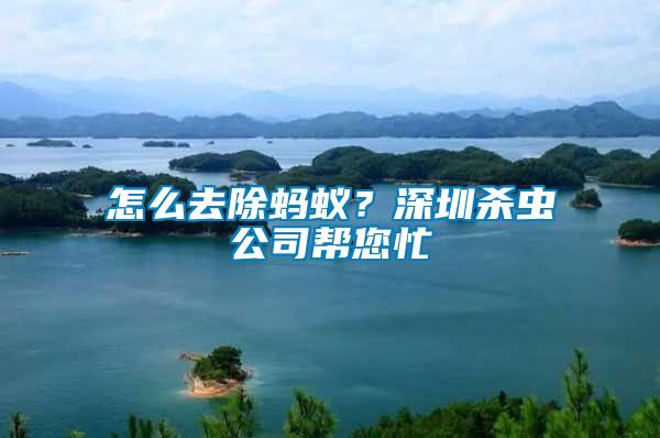 怎么去除螞蟻？深圳殺蟲公司幫您忙