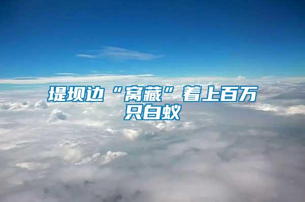 堤壩邊“窩藏”著上百萬(wàn)只白蟻