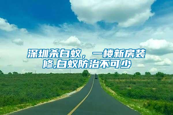 深圳殺白蟻，一樓新房裝修,白蟻防治不可少