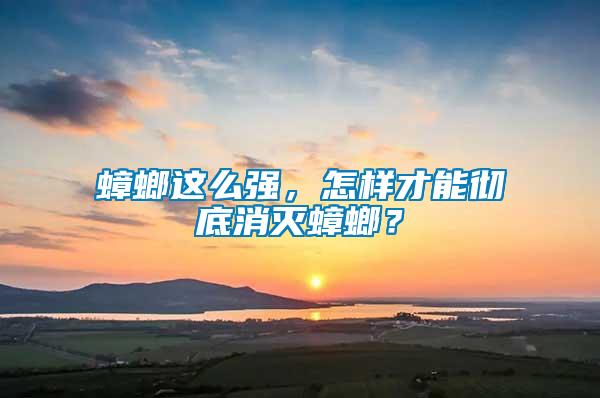 蟑螂這么強(qiáng)，怎樣才能徹底消滅蟑螂？