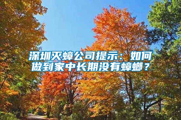 深圳滅蟑公司提示：如何做到家中長期沒有蟑螂？