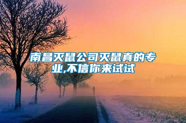 南昌滅鼠公司滅鼠真的專業(yè),不信你來試試