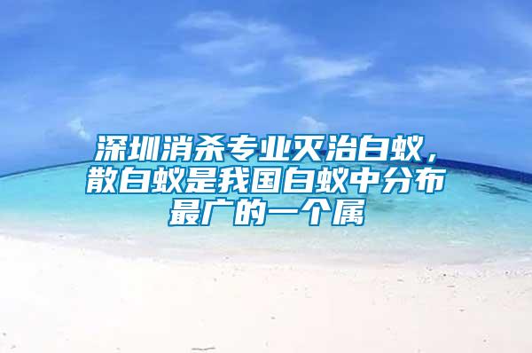 深圳消殺專業(yè)滅治白蟻，散白蟻是我國白蟻中分布最廣的一個(gè)屬