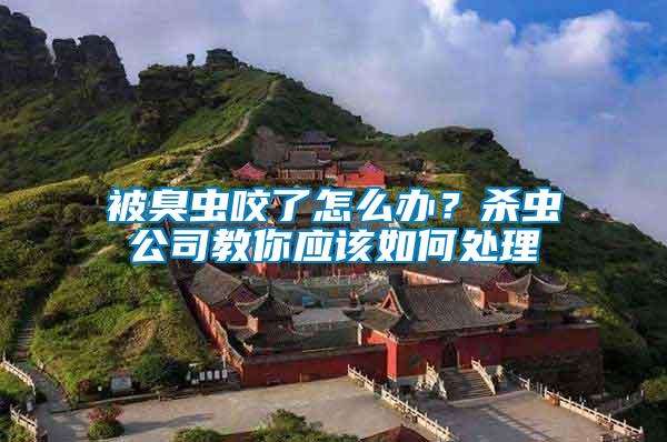 被臭蟲咬了怎么辦？殺蟲公司教你應(yīng)該如何處理
