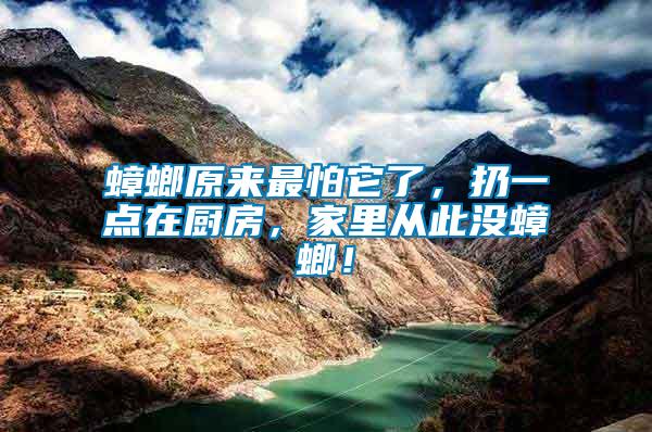 蟑螂原來最怕它了，扔一點(diǎn)在廚房，家里從此沒蟑螂！