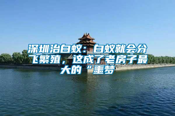 深圳治白蟻：白蟻就會(huì)分飛繁殖，這成了老房子最大的“噩夢(mèng)