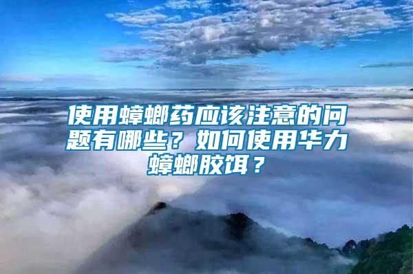 使用蟑螂藥應(yīng)該注意的問題有哪些？如何使用華力蟑螂膠餌？