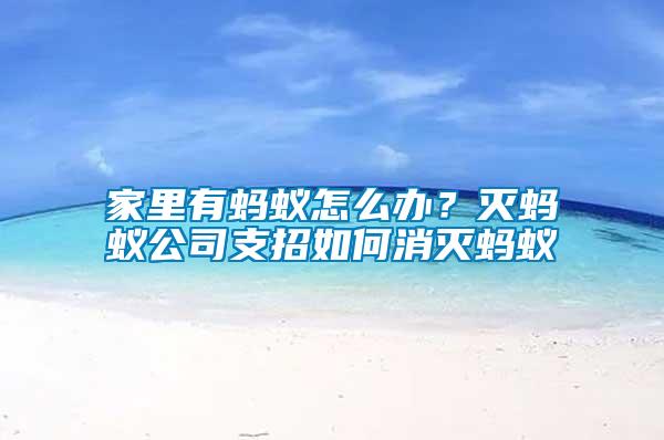 家里有螞蟻怎么辦？滅螞蟻公司支招如何消滅螞蟻