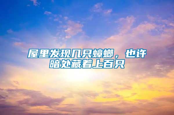 屋里發(fā)現幾只蟑螂，也許暗處藏著上百只