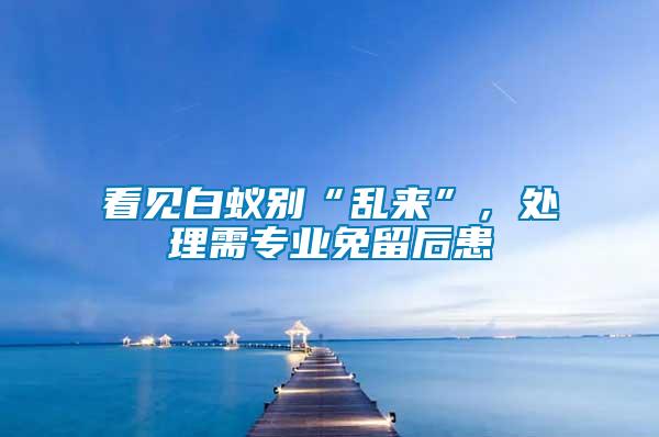 看見白蟻別“亂來”，處理需專業(yè)免留后患