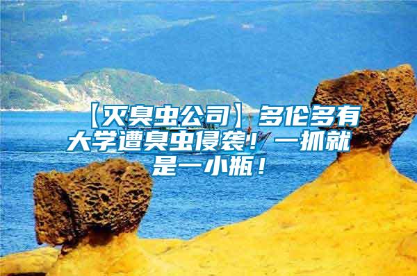 【滅臭蟲公司】多倫多有大學遭臭蟲侵襲！一抓就是一小瓶！