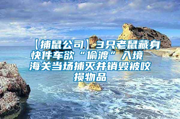 【捕鼠公司】3只老鼠藏身快件車欲“偷渡”入境 海關(guān)當(dāng)場捕滅并銷毀被咬損物品