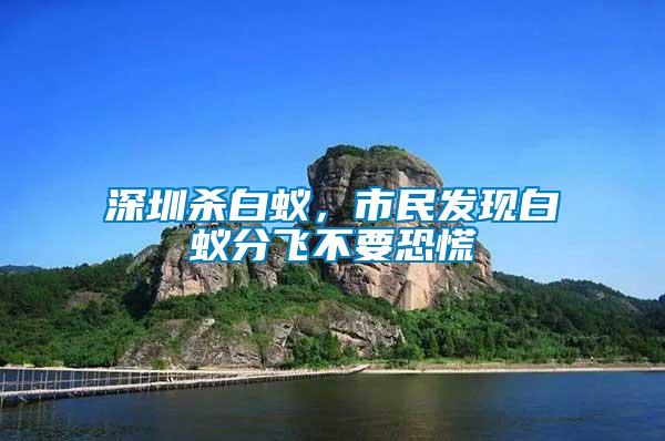 深圳殺白蟻，市民發(fā)現(xiàn)白蟻分飛不要恐慌