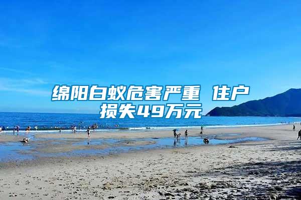 綿陽(yáng)白蟻危害嚴(yán)重 住戶損失49萬(wàn)元