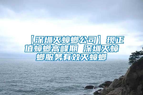 【深圳滅蟑螂公司】現(xiàn)正值蟑螂高峰期 深圳滅蟑螂服務有效滅蟑螂