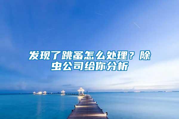發(fā)現(xiàn)了跳蚤怎么處理？除蟲公司給你分析
