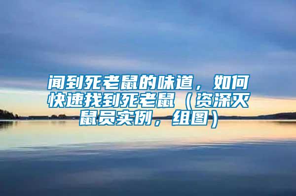 聞到死老鼠的味道，如何快速找到死老鼠（資深滅鼠員實(shí)例，組圖）
