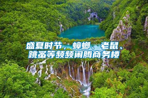 盛夏時節(jié)，蟑螂、老鼠、跳蚤等頻頻鬧騰商務(wù)樓