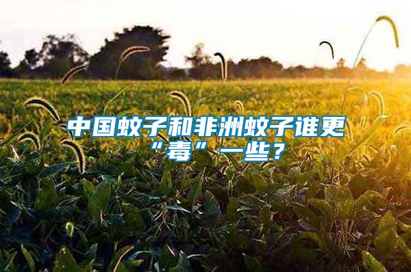 中國(guó)蚊子和非洲蚊子誰(shuí)更“毒”一些？