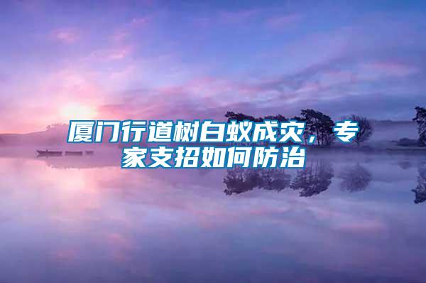 廈門行道樹白蟻成災(zāi)，專家支招如何防治