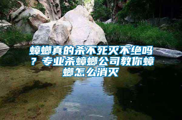 蟑螂真的殺不死滅不絕嗎？專業(yè)殺蟑螂公司教你蟑螂怎么消滅