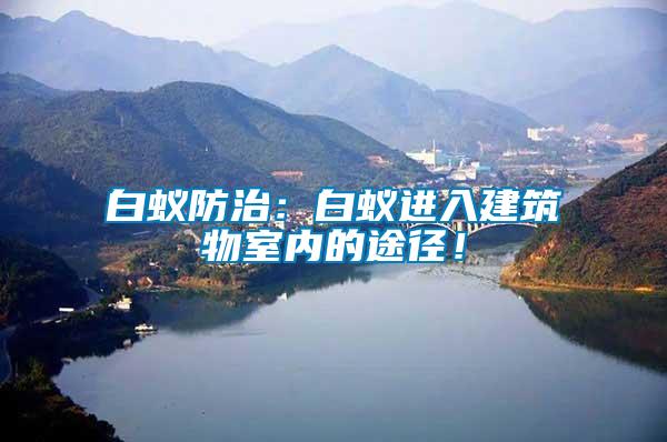 白蟻防治：白蟻進(jìn)入建筑物室內(nèi)的途徑！