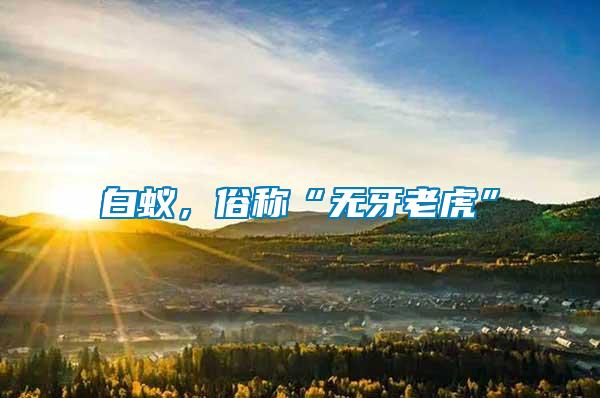 白蟻，俗稱“無牙老虎”