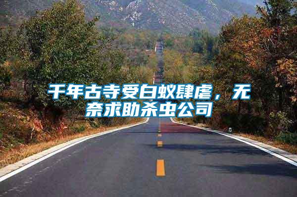 千年古寺受白蟻肆虐，無(wú)奈求助殺蟲(chóng)公司