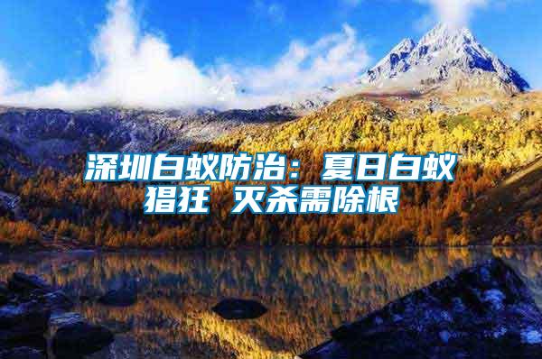深圳白蟻防治：夏日白蟻猖狂 滅殺需除根
