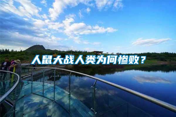 人鼠大戰(zhàn)人類為何慘??？