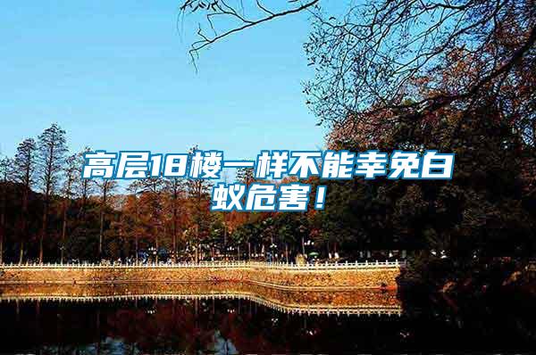 高層18樓一樣不能幸免白蟻危害！
