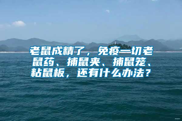 老鼠成精了，免疫一切老鼠藥、捕鼠夾、捕鼠籠、粘鼠板，還有什么辦法？