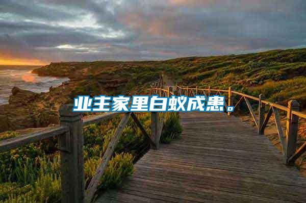 業(yè)主家里白蟻成患。