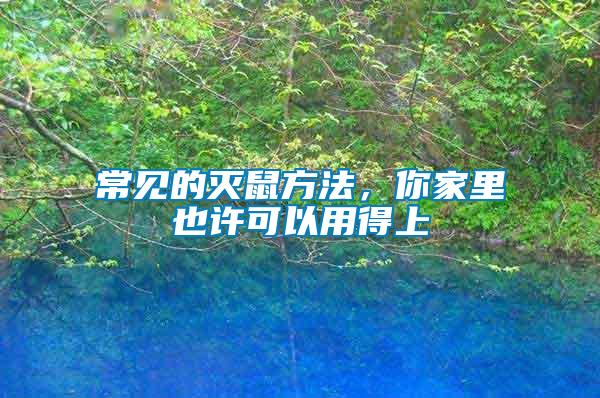 常見的滅鼠方法，你家里也許可以用得上