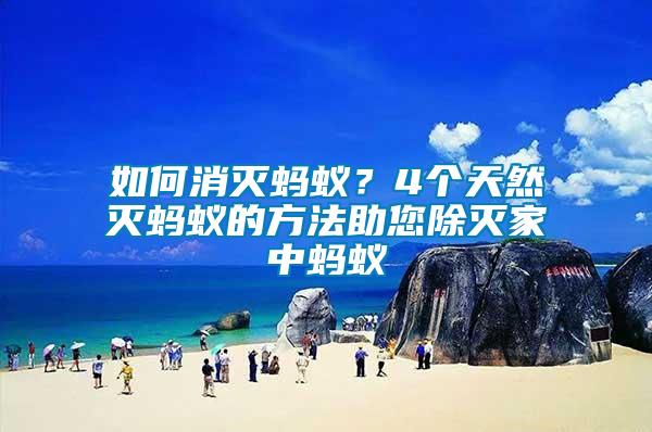 如何消滅螞蟻？4個天然滅螞蟻的方法助您除滅家中螞蟻