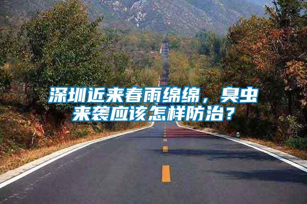 深圳近來春雨綿綿，臭蟲來襲應(yīng)該怎樣防治？
