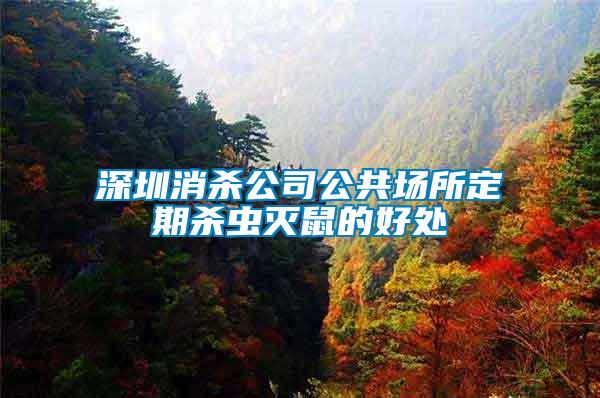 深圳消殺公司公共場所定期殺蟲滅鼠的好處