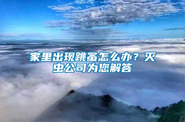 家里出現(xiàn)跳蚤怎么辦？滅蟲(chóng)公司為您解答