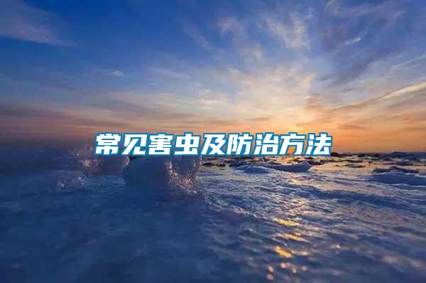 常見(jiàn)害蟲及防治方法