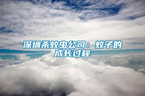 深圳殺蚊蟲公司：蚊子的成長過程