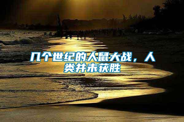 幾個世紀的人鼠大戰(zhàn)，人類并未獲勝